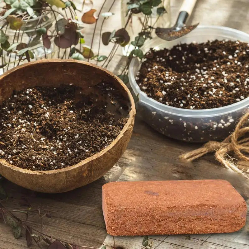 Coco Coir Bricks For Plants