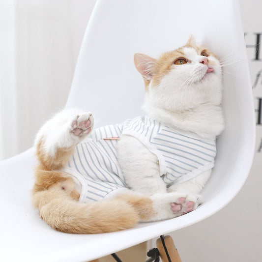 Cat Clothes Seasonal Thin Weaning Anti Licking